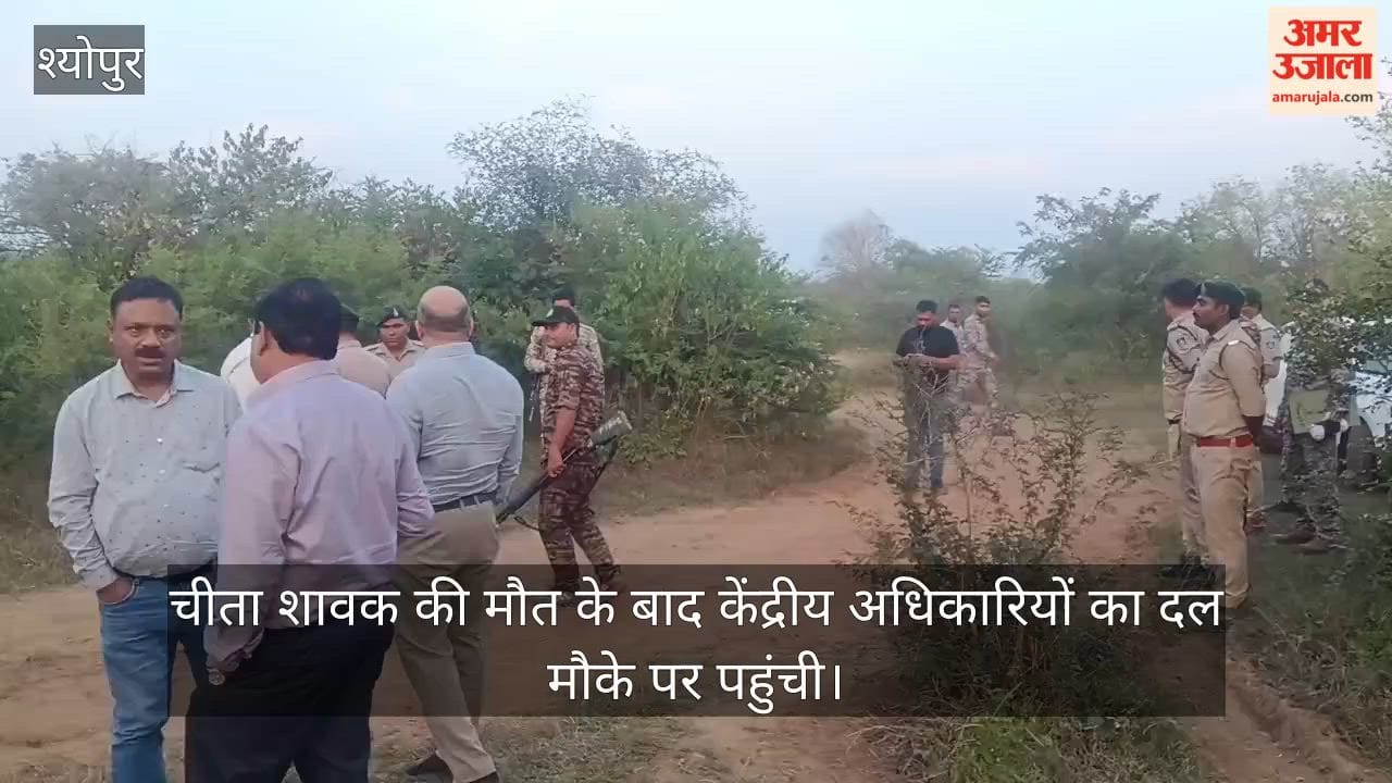 Cheetah cub shot dead; central special team arrives for investigation